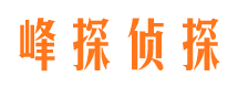 那坡市侦探调查公司